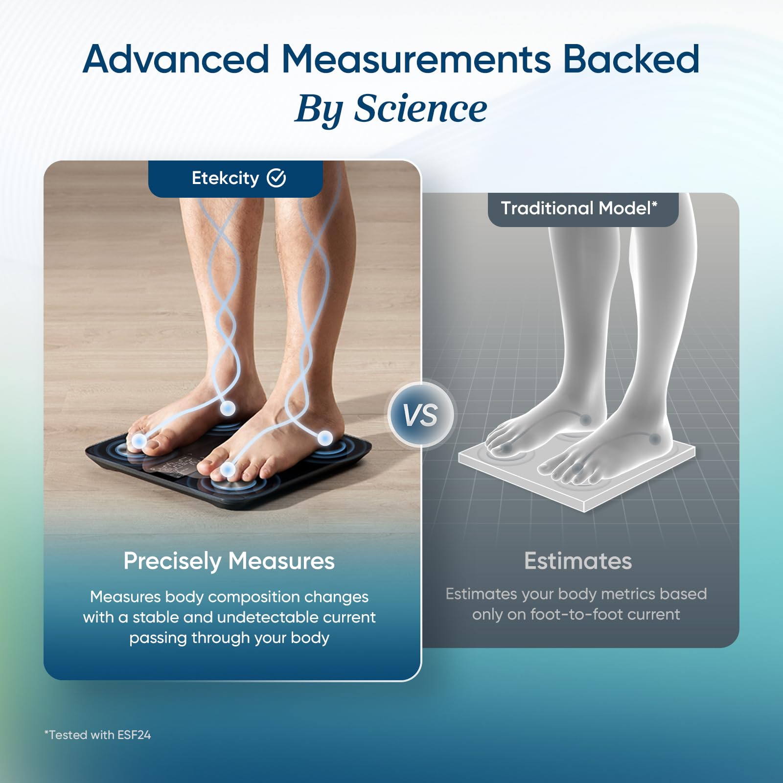Etekcity Smart Scale - Image 3